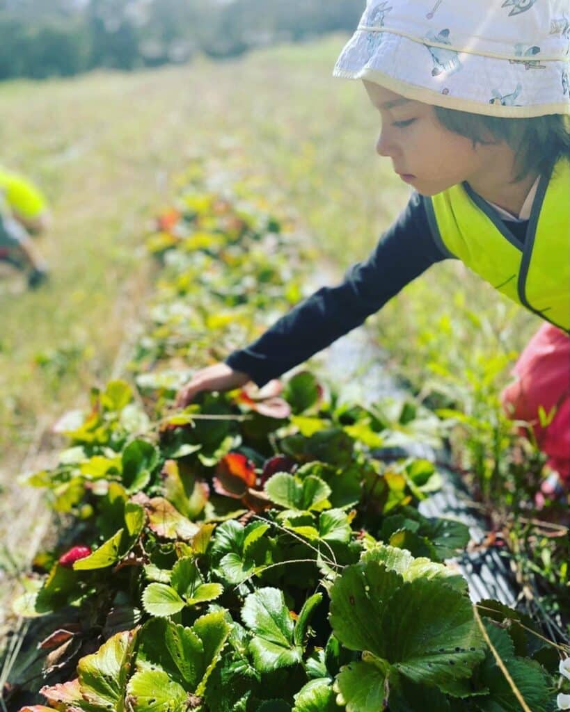 gardening