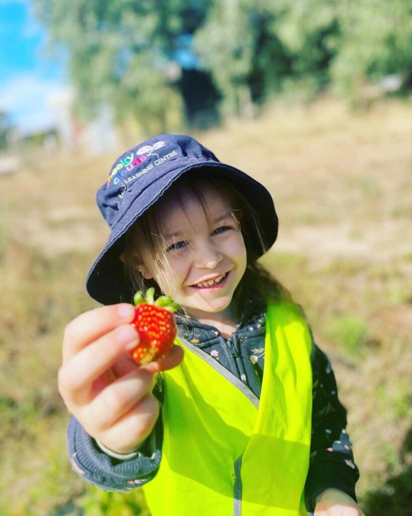 strawberries